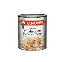 canned mushrooms factory