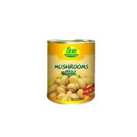 Canned Champignon Mushrooms