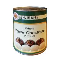 canned water chestnut in brine