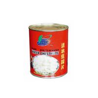 canned water chestnuts manufacturer
