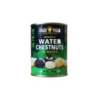 567g canned water chestnut 